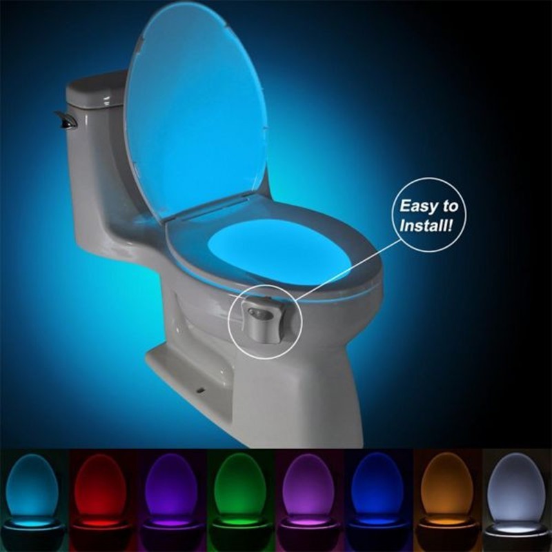 Toilet LED Night Light