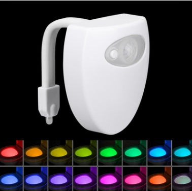 Toilet LED Night Light