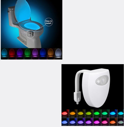 Toilet LED Night Light