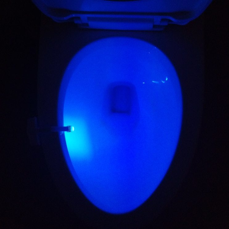 Toilet LED Night Light