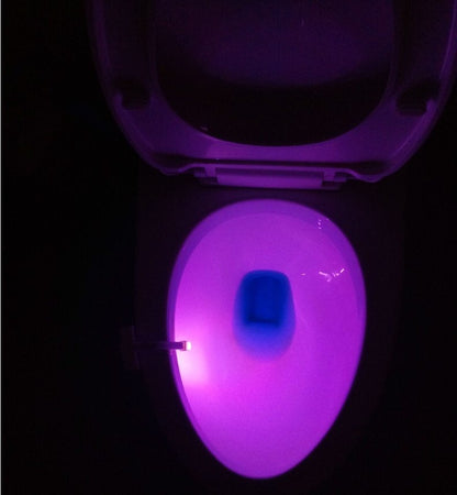 Toilet LED Night Light